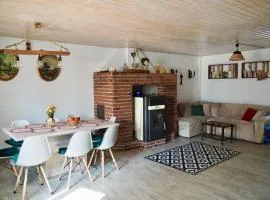 Holiday House Valiug