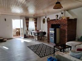 Holiday House Valiug，位于沃利乌格乡的酒店