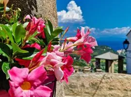 Bilo Terrazza Rio Elba