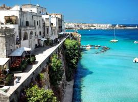 Luxury Holiday Home Sea View Panoramic Terrace，位于新福卡的酒店