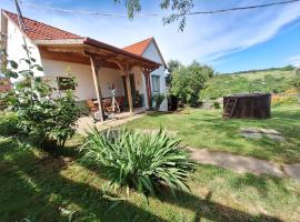 ÉletVirága Vendégház，位于Bálványos的酒店