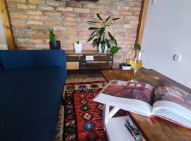 Vila Zapis - Zavojsko jezero，位于皮罗特的酒店