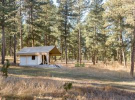 Buffalo Canvas Tent，位于卡斯特的酒店