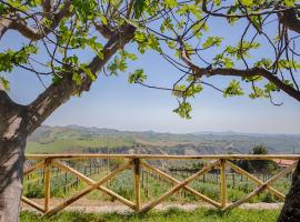 La Terrazza sul Vigneto，位于奥菲达的酒店