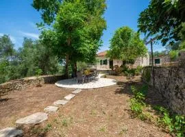 The Old One by All About Paxos