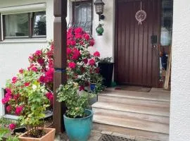 Ferienwohnung Panorama