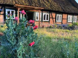 Haus am Fluss und See，位于Gartow的酒店