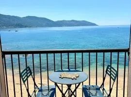 A 20min d AJACCIO, Grand studio 3 personnes - pieds dans l'eau - accès direct plage - vue mer exceptionnelle