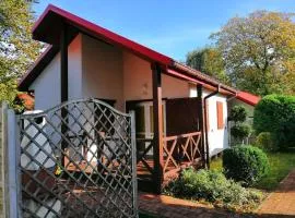 Ferienhaus in Dziwnw mit Terrasse und Grill