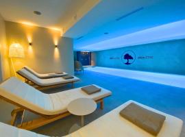 Brit Hotel Piscine & Spa - Fougères，位于Lécousse的酒店