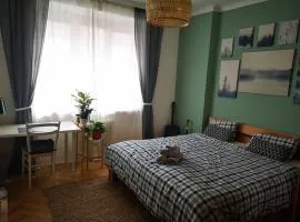 Lovely apartment in historic center