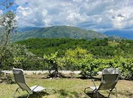 Belvedere da Fernanda