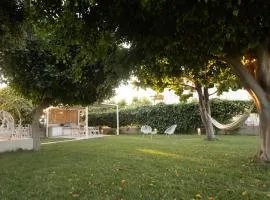 June Home