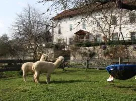 Urlaub auf dem Bauernhof, mit Schlossblick