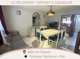 Le Pechiney Appart Camargue