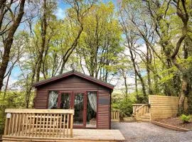 Woodland View -Hot Tub-Tenby-Carmarthen-St Clears