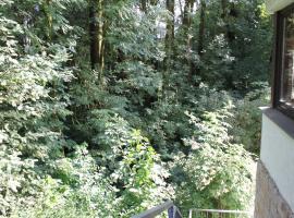 FeWo Harling - Waldsamkeit，位于巴特伊堡的酒店