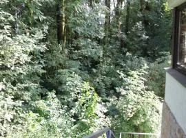 FeWo Harling - Waldsamkeit