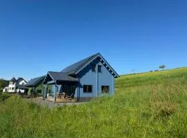 Vakantiehuis aan bosrand in Eifel nabij Cochem-Zell aan de Moezel - Dichtbij De Calmont Klettersteig Bremm - Blue House