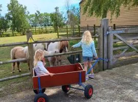 Vacation Home Mechelhof