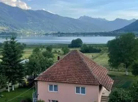 Plav`s dream