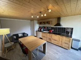 Chaleureux duplex avec balcon près des pistes - FR-1-787-16