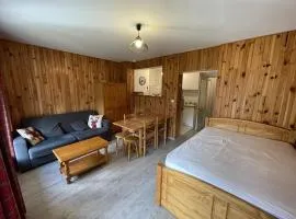 Studio rénové, calme, balcon sud, jardinet, proche pistes et commerces - FR-1-787-22