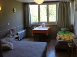 Studio cosy 2/3 pers, 200m pistes, wifi, parking, animaux ok - FR-1-787-49
