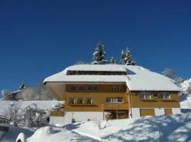 Berghof Almzeit - Fewo "Philosophenstüble", Sauna, Todtnauberg, Feldberg