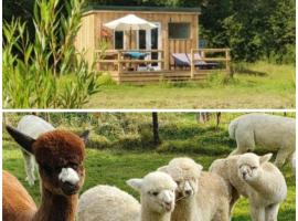 Dartmoor Reach Alpaca Farm Heated Cabins 5 mins drive to Dartmoor，位于巴维特雷西的酒店