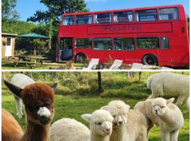 Double Decker Bus on an Alpaca farm sleeps 8, 5 mins drive to Dartmoor，位于巴维特雷西的酒店