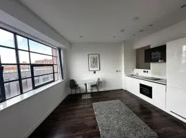 342 Stunning One Bedroom Studio Apartment