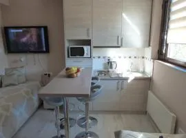 Apartments Sia