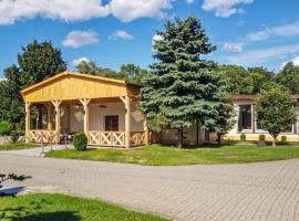 Pet Friendly Home In Witnica Chojenska，位于Witnica的酒店