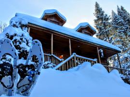 Chalet des Sources SPA Gazebo panoramique，位于Mont-Blanc的别墅