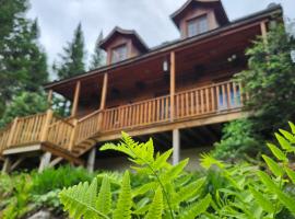 Chalet des Sources SPA Gazebo panoramique，位于Mont-Blanc的宠物友好酒店