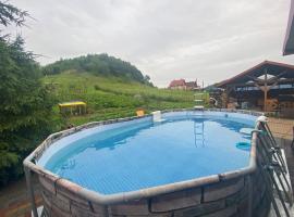 Садиба У Дохтора Відпочинок у Карпатах，位于Golubinoye的酒店