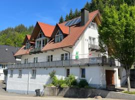 Ferienwohnung-Blume DG，位于沃尔法赫的酒店