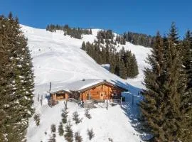 Almhütten Saalbach-Hinterglemm