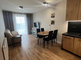 Apartament Broniewskiego，位于布斯克·兹德鲁伊的酒店