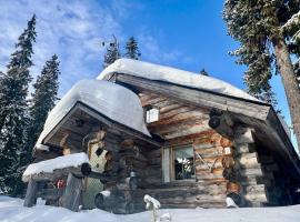 Lapland Log Chalet Cabin Ukko-Kelo Luosto，位于洛斯托的酒店