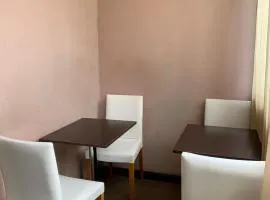 3 bedroom apartment in city center