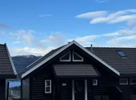 Voss Hytte/Cabin