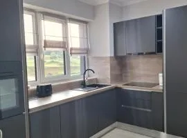 City Luxury Apartment