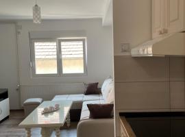 Apartmani Vrla NEW，位于弗拉迪钦汉的酒店