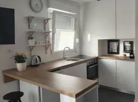 Studio Apartment Tisa