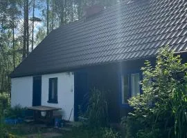 24mousehouse - Urokliwy domek w sercu Borów Tucholskich