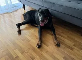 O Lar de Raxó