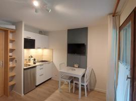 Studio au pied des remontées/wifi/smart TV/parking，位于莱孔塔米讷蒙茹瓦的酒店