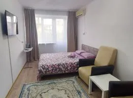 Однокомнатная на Алипова 2а